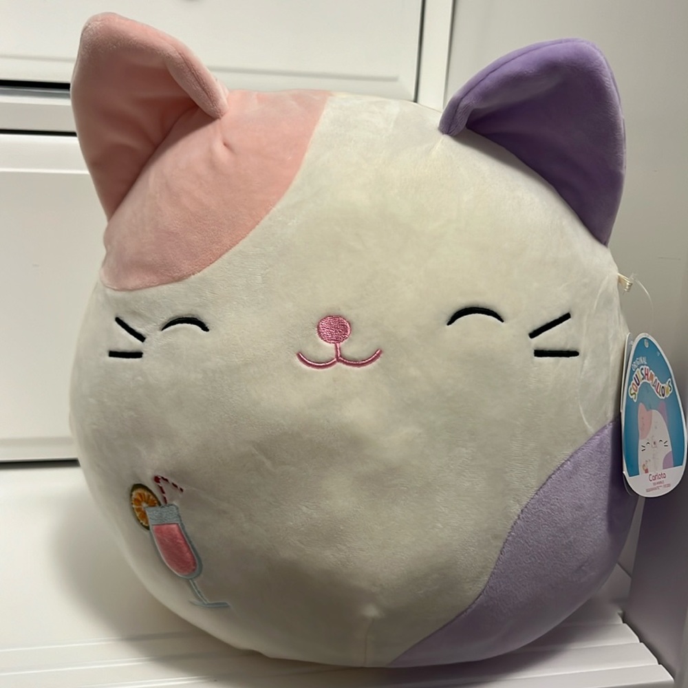 Cat squishmallow